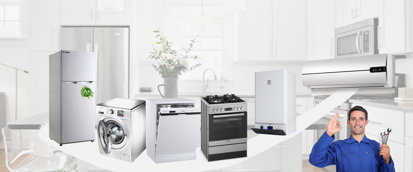Gemlik Gorenje Servisi